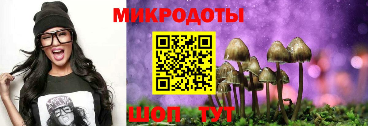 Галлюциногенные грибы Psilocybine cubensis Нягань